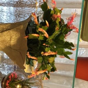 Meet your Posher, Jeanne